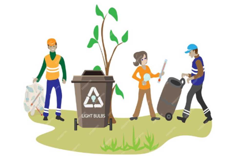 Types of Waste Management Services Offered by Professionals